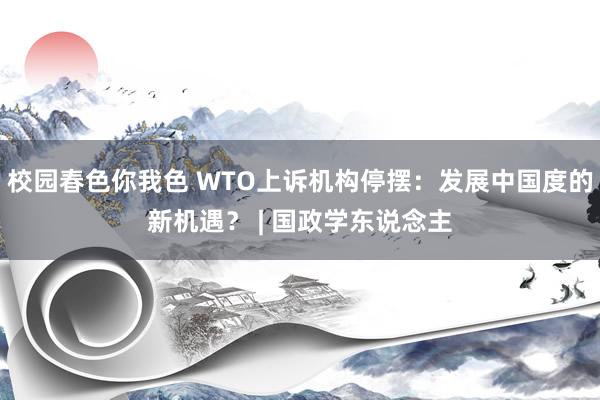 校园春色你我色 WTO上诉机构停摆：发展中国度的新机遇？ | 国政学东说念主
