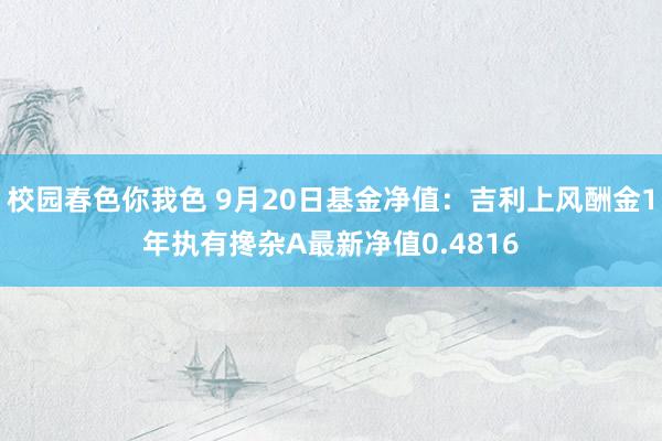 校园春色你我色 9月20日基金净值：吉利上风酬金1年执有搀杂A最新净值0.4816