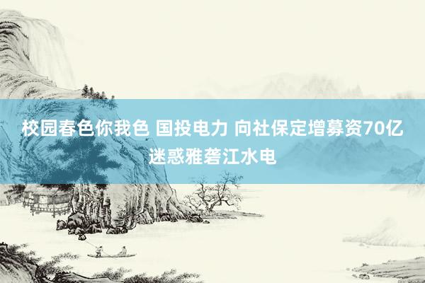 校园春色你我色 国投电力 向社保定增募资70亿迷惑雅砻江水电