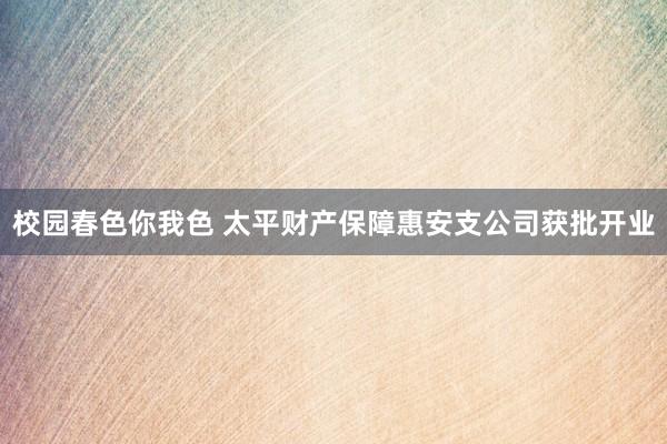 校园春色你我色 太平财产保障惠安支公司获批开业