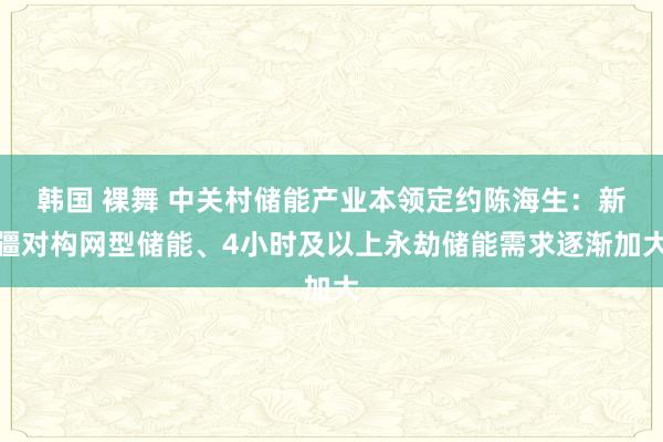 韩国 裸舞 中关村储能产业本领定约陈海生：新疆对构网型储能、4小时及以上永劫储能需求逐渐加大