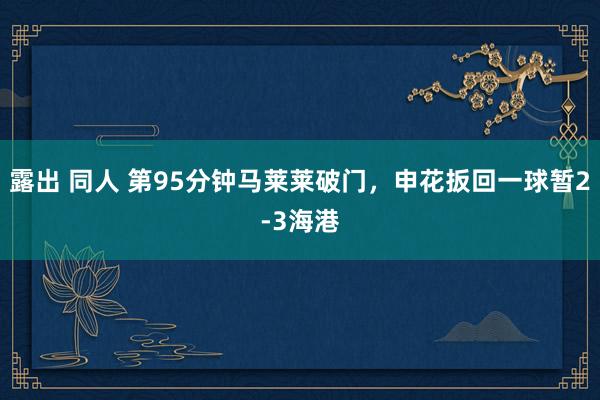 露出 同人 第95分钟马莱莱破门，申花扳回一球暂2-3海港