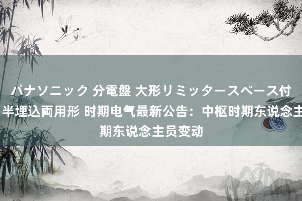 パナソニック 分電盤 大形リミッタースペース付 露出・半埋込両用形 时期电气最新公告：中枢时期东说念主员变动