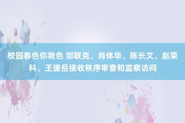校园春色你我色 邹联克、肖体华、陈长文、赵荣科、王援岳接收秩序审查和监察访问