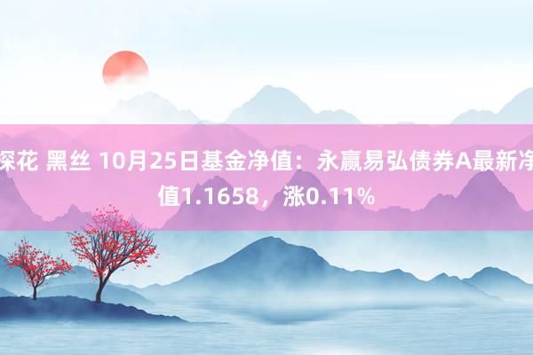 探花 黑丝 10月25日基金净值：永赢易弘债券A最新净值1.1658，涨0.11%