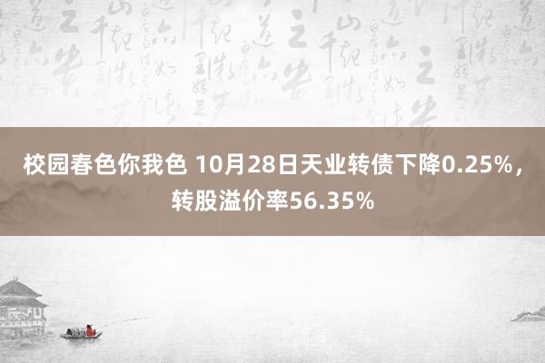 校园春色你我色 10月28日天业转债下降0.25%，转股溢价率56.35%