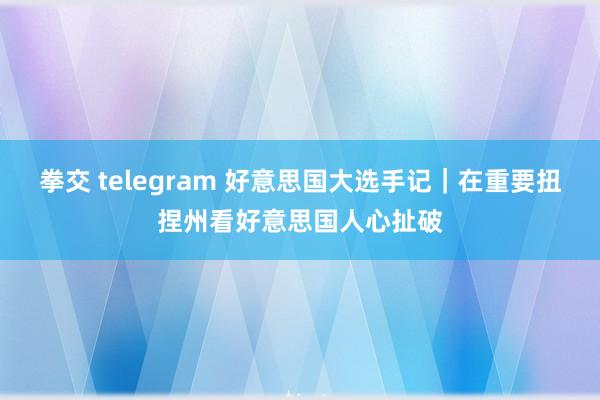 拳交 telegram 好意思国大选手记｜在重要扭捏州看好意思国人心扯破