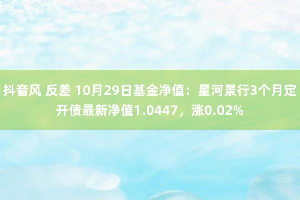 抖音风 反差 10月29日基金净值：星河景行3个月定开债最新净值1.0447，涨0.02%