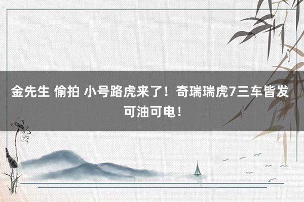 金先生 偷拍 小号路虎来了！奇瑞瑞虎7三车皆发 可油可电！