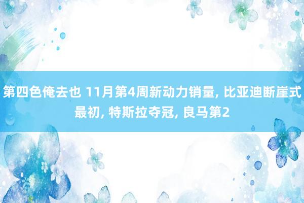 第四色俺去也 11月第4周新动力销量， 比亚迪断崖式最初， 特斯拉夺冠， 良马第2