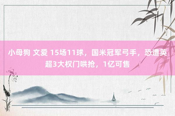 小母狗 文爱 15场11球，国米冠军弓手，恐遭英超3大权门哄抢，1亿可售