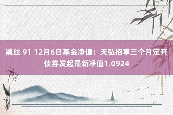 黑丝 91 12月6日基金净值：天弘招享三个月定开债券发起最新净值1.0924