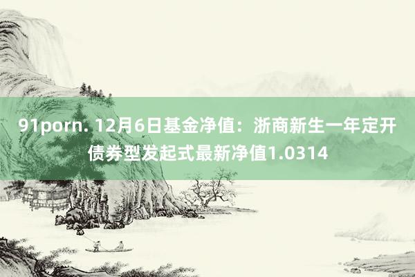 91porn. 12月6日基金净值：浙商新生一年定开债券型发起式最新净值1.0314