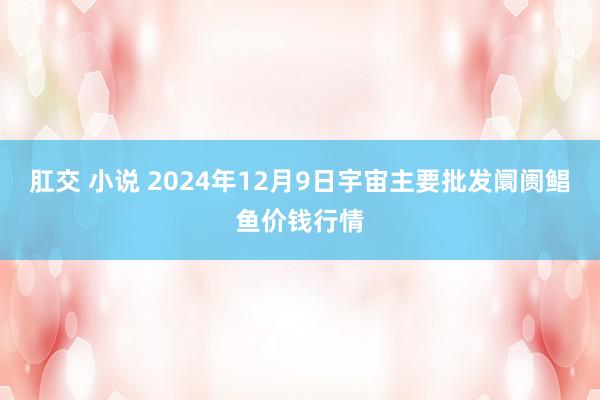 肛交 小说 2024年12月9日宇宙主要批发阛阓鲳鱼价钱行情