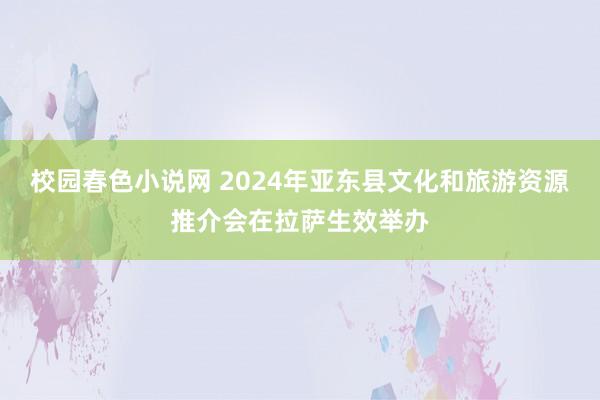 校园春色小说网 2024年亚东县文化和旅游资源推介会在拉萨生效举办