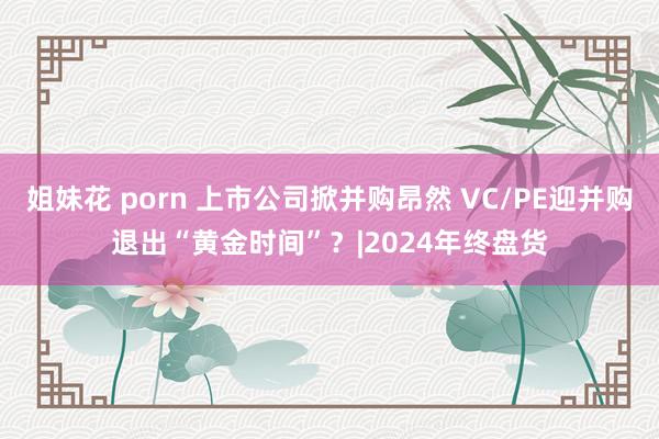 姐妹花 porn 上市公司掀并购昂然 VC/PE迎并购退出“黄金时间”？|2024年终盘货