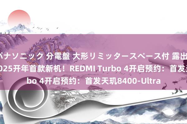 パナソニック 分電盤 大形リミッタースペース付 露出・半埋込両用形 2025开年首款新机！REDMI Turbo 4开启预约：首发天玑8400-Ultra