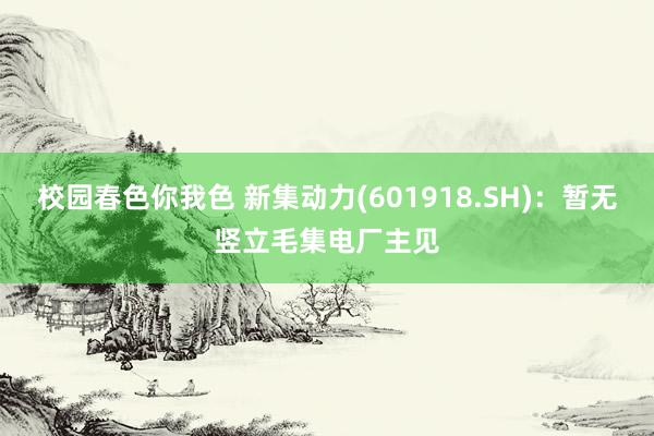 校园春色你我色 新集动力(601918.SH)：暂无竖立毛集电厂主见