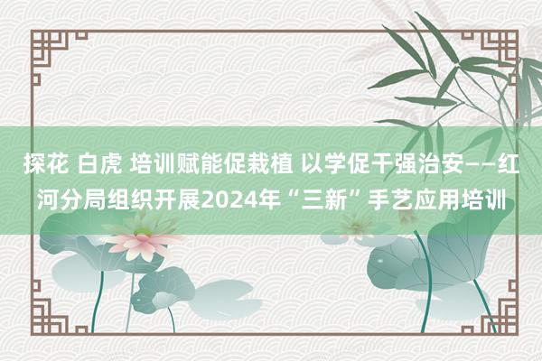 探花 白虎 培训赋能促栽植 以学促干强治安——红河分局组织开展2024年“三新”手艺应用培训