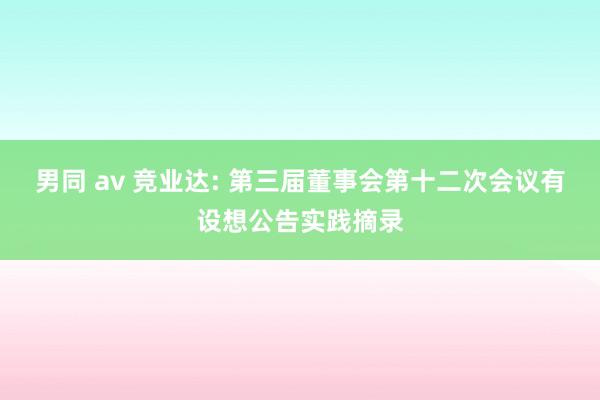 男同 av 竞业达: 第三届董事会第十二次会议有设想公告实践摘录