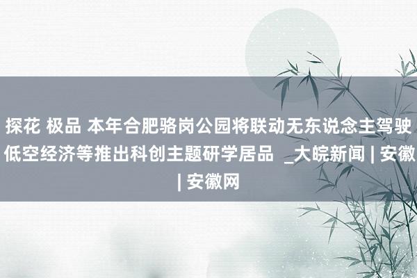 探花 极品 本年合肥骆岗公园将联动无东说念主驾驶、低空经济等推出科创主题研学居品  _大皖新闻 | 安徽网