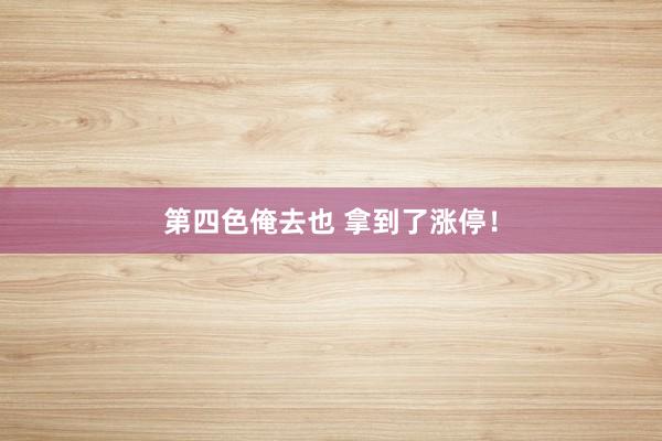 第四色俺去也 拿到了涨停！
