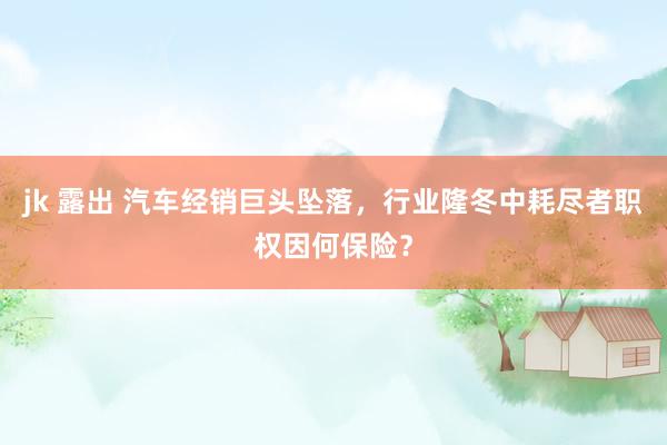 jk 露出 汽车经销巨头坠落，行业隆冬中耗尽者职权因何保险？