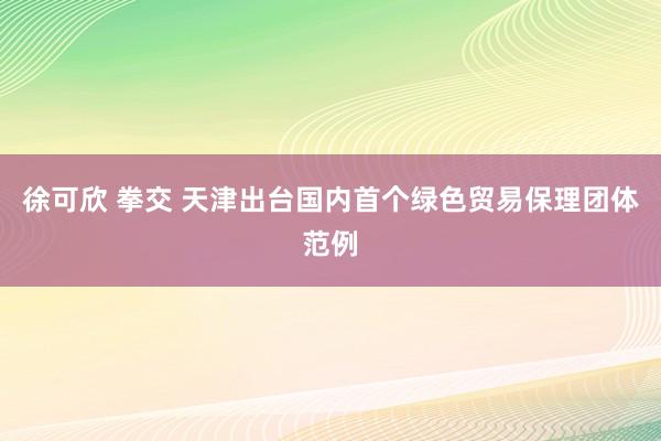 徐可欣 拳交 天津出台国内首个绿色贸易保理团体范例