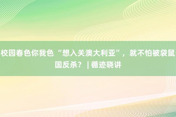 校园春色你我色 “想入关澳大利亚”，就不怕被袋鼠国反杀？ | 循迹晓讲
