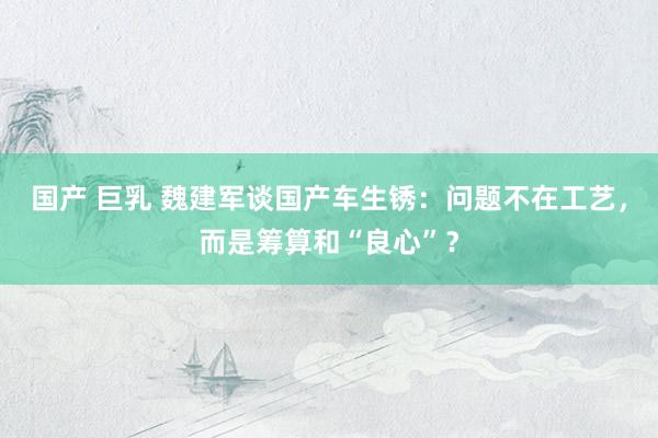 国产 巨乳 魏建军谈国产车生锈：问题不在工艺，而是筹算和“良心”？