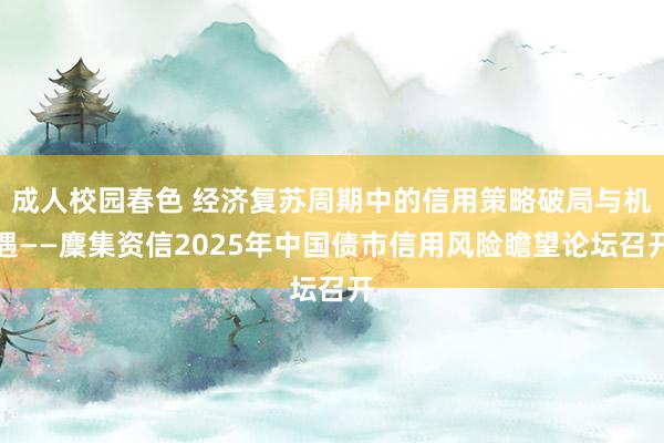 成人校园春色 经济复苏周期中的信用策略破局与机遇——麇集资信2025年中国债市信用风险瞻望论坛召开