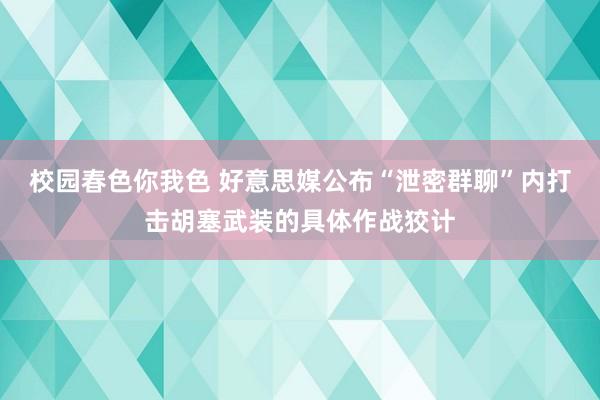 校园春色你我色 好意思媒公布“泄密群聊”内打击胡塞武装的具体作战狡计
