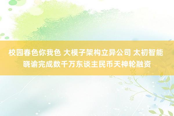 校园春色你我色 大模子架构立异公司 太初智能 晓谕完成数千万东谈主民币天神轮融资