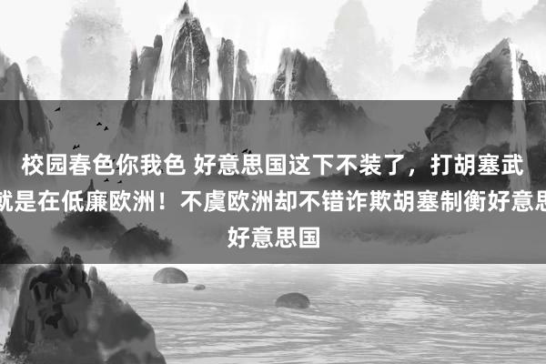 校园春色你我色 好意思国这下不装了,打胡塞武装就是在低廉欧洲!不虞欧洲却不错诈欺胡塞制衡好意思国