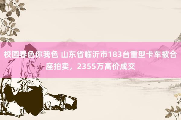 校园春色你我色 山东省临沂市183台重型卡车被合座拍卖，2355万高价成交