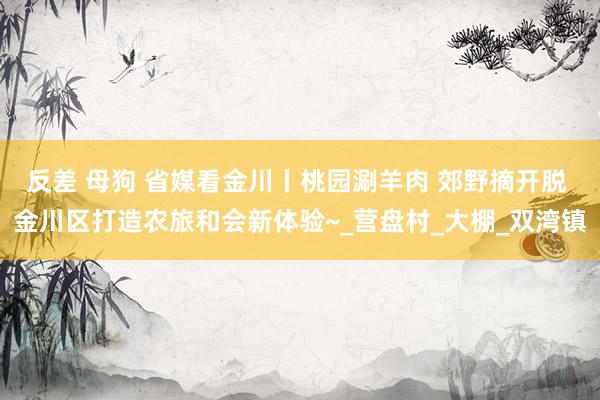 反差 母狗 省媒看金川丨桃园涮羊肉 郊野摘开脱 金川区打造农旅和会新体验~_营盘村_大棚_双湾镇