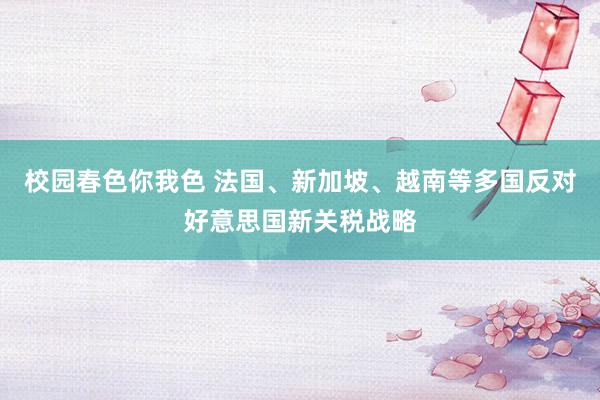 校园春色你我色 法国、新加坡、越南等多国反对好意思国新关税战略