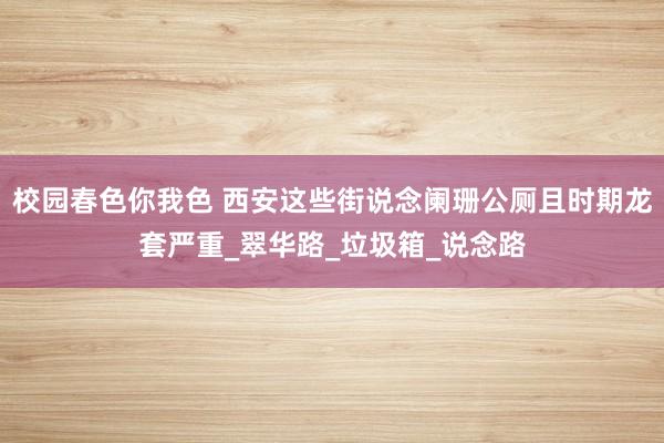 校园春色你我色 西安这些街说念阑珊公厕且时期龙套严重_翠华路_垃圾箱_说念路