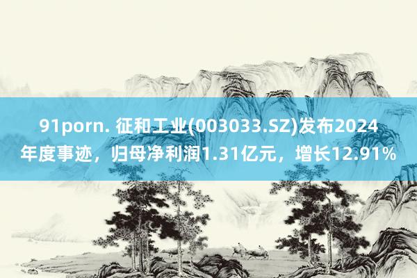 91porn. 征和工业(003033.SZ)发布2024年度事迹，归母净利润1.31亿元，增长12.91%