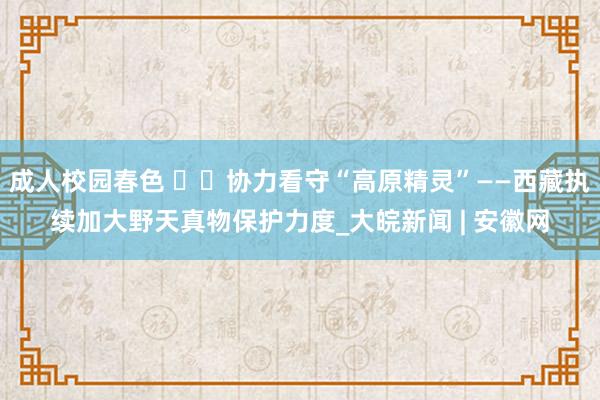 成人校园春色 ‍‍协力看守“高原精灵”——西藏执续加大野天真物保护力度_大皖新闻 | 安徽网