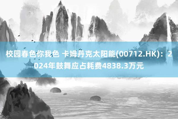 校园春色你我色 卡姆丹克太阳能(00712.HK)：2024年鼓舞应占耗费4838.3万元