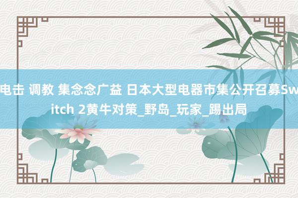 电击 调教 集念念广益 日本大型电器市集公开召募Switch 2黄牛对策_野岛_玩家_踢出局