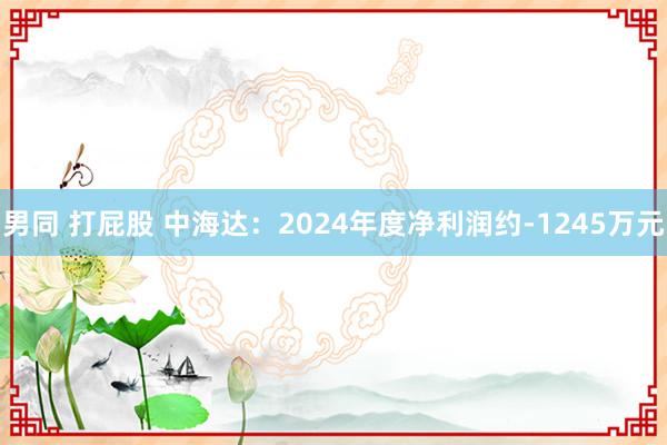 男同 打屁股 中海达：2024年度净利润约-1245万元