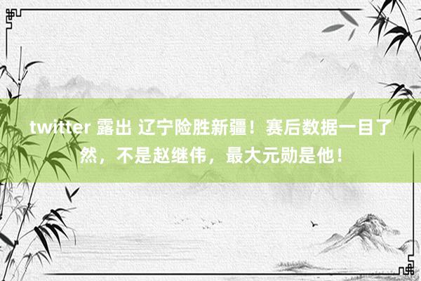 twitter 露出 辽宁险胜新疆！赛后数据一目了然，不是赵继伟，最大元勋是他！