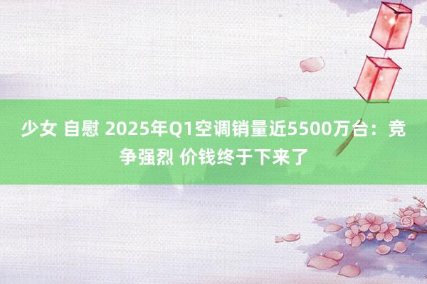 少女 自慰 2025年Q1空调销量近5500万台：竞争强烈 价钱终于下来了