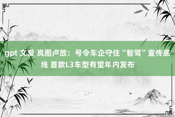 gpt 文爱 岚图卢放：号令车企守住“智驾”宣传底线 首款L3车型有望年内发布