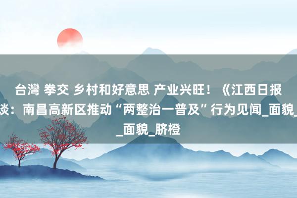 台灣 拳交 乡村和好意思 产业兴旺！《江西日报》报谈：南昌高新区推动“两整治一普及”行为见闻_面貌_脐橙