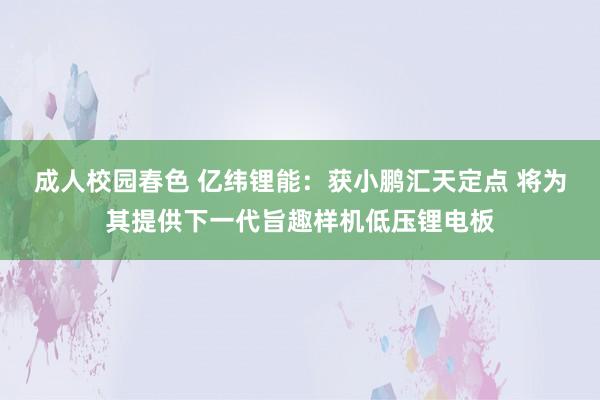 成人校园春色 亿纬锂能：获小鹏汇天定点 将为其提供下一代旨趣样机低压锂电板