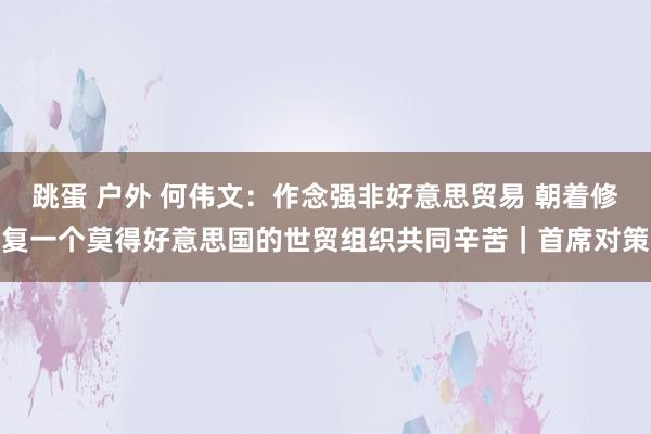 跳蛋 户外 何伟文：作念强非好意思贸易 朝着修复一个莫得好意思国的世贸组织共同辛苦｜首席对策