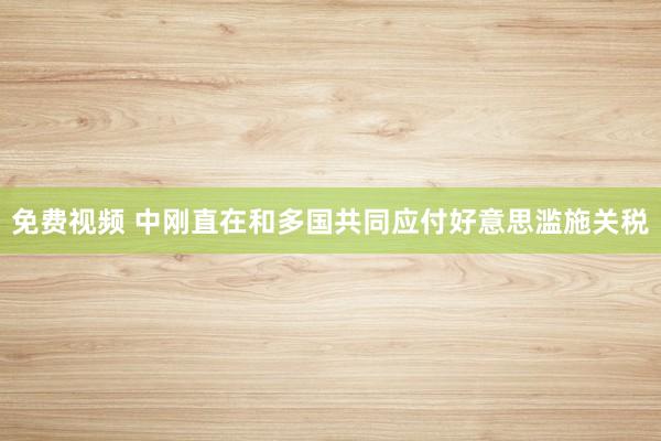 免费视频 中刚直在和多国共同应付好意思滥施关税